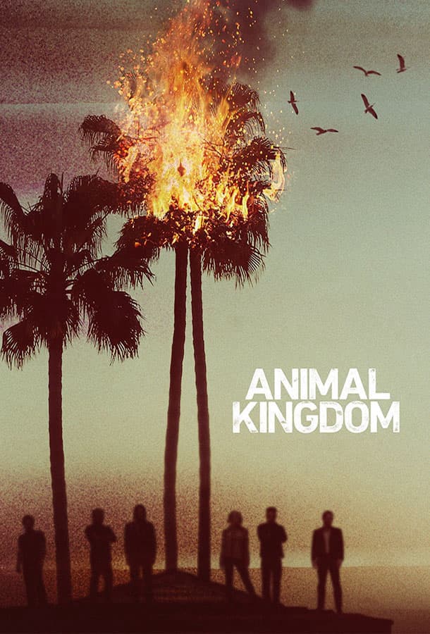 По волчьим законам / Animal Kingdom