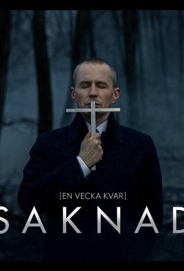 Пропавшая / Saknad